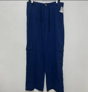 Pants Cargo & Utility By Clothes Mentor In Blue, Size: Xl