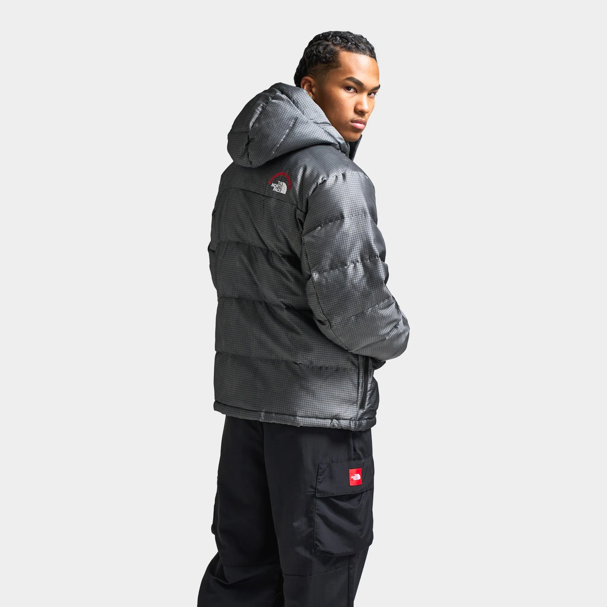 The North Face HMLYN 30th Anniversary Parka / Moonstone Grey